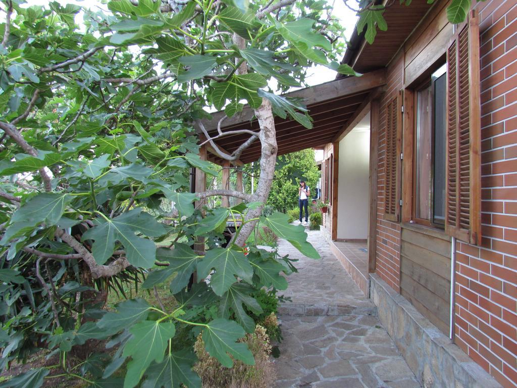 Villas And Bungalows Panorama تشيرنوموريتس المظهر الخارجي الصورة