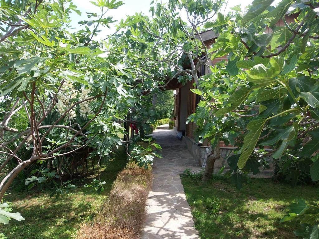 Villas And Bungalows Panorama تشيرنوموريتس المظهر الخارجي الصورة