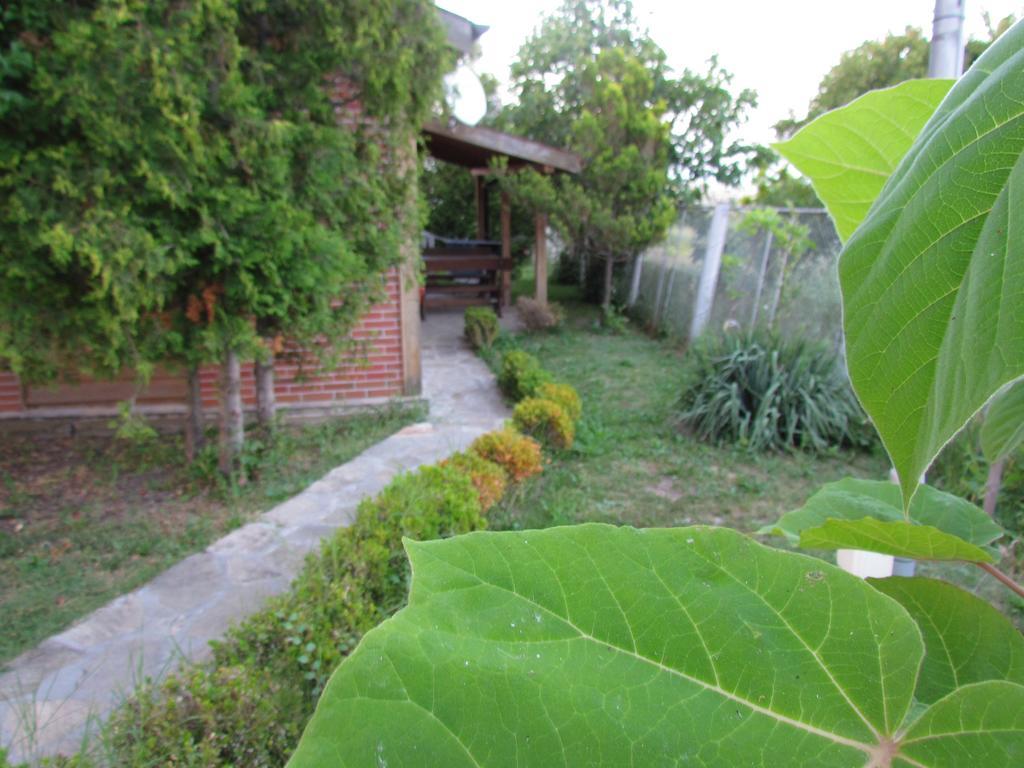 Villas And Bungalows Panorama تشيرنوموريتس المظهر الخارجي الصورة