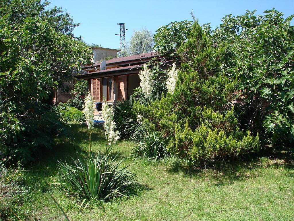 Villas And Bungalows Panorama تشيرنوموريتس المظهر الخارجي الصورة