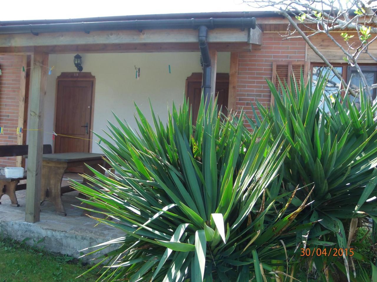 Villas And Bungalows Panorama تشيرنوموريتس المظهر الخارجي الصورة